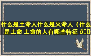 什么是土命人什么是火命人（什么是土命 土命的人有哪些特征 🌻 ）